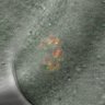 Thumbnail for dataset Fig4A-C_160623_rec8f_cenpc_mut