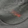 Thumbnail for Fig4A-C_160628_rec8f_cenpc_mut