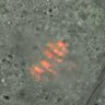 Thumbnail for dataset Fig4A-C_160701_MetaII_mut