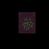 Thumbnail for dataset FigS3A_171231_MII_control
