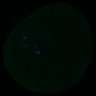 Thumbnail for dataset FigS3A_180213_pias1cenpc_image11