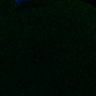 Thumbnail for FigS3A_180213_pias1cenpc_image12