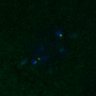 Thumbnail for dataset FigS3D_180212_image10