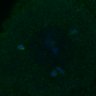 Thumbnail for FigS3D_180212_image11
