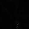 Thumbnail for dataset fig1_metecALI21_centrinGFP