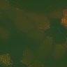 Thumbnail for dataset fig3_cent-odf2-ZO1_mtecALI10