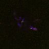 Thumbnail for dataset FigS4C_180115_Rec8f_iamge12