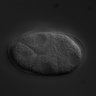 Thumbnail for dataset RNAi_R08D7.1_080514_01
