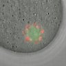 Thumbnail for dataset Figure2B_2015_8_6
