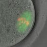 Thumbnail for dataset Figure2B_2015_8_10