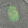 Thumbnail for dataset Figure2D_2015_11_20