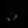 Thumbnail for dataset Figure3BC_Double_20151220_L1_MTOC