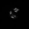 Thumbnail for dataset Figure3BC_Double_20151220_L7