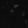 Thumbnail for dataset Supp2_Pos103_part2
