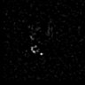 Thumbnail for dataset Figure5D_KTtracking_20160223_L19_con5