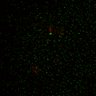 Thumbnail for Figure5D_KTtracking_doubled_L2_con2