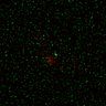 Thumbnail for dataset Figure5D_KTtracking_misalign_20160225_L29_con2