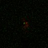 Thumbnail for dataset Figure5D_KTtracking_misalign_20160527_L3_con2