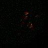 Thumbnail for dataset Figure5D_KTtracking_misalign_20160527_L4_con3