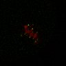 Thumbnail for dataset Figure5D_KTtracking_misalign_20160527_L5_con2