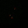 Thumbnail for Figure5D_KTtracking_misalign_20160527_L5_con3