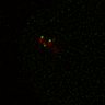 Thumbnail for Figure5D_KTtracking_misalign_20160527_L7_con3