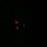 Thumbnail for Figure5D_KTtracking_misalign_20160527_L9_con4