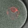 Thumbnail for dataset Figure6A_2014_8_11