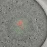 Thumbnail for Figure6C_2015_7_23_1