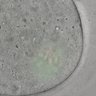 Thumbnail for Figure6C_2015_7_23_2