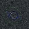 Thumbnail for dataset Figure6D_2016_10_28_EFcontrol