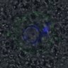 Thumbnail for dataset Figure6D_2016_10_31_C-Mad2_control_2