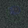 Thumbnail for dataset Figure6D_2016_11_17_C-Mad2_EFcontrol