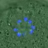 Thumbnail for Figure6E_2016_02_25_half_3h