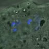 Thumbnail for dataset Figure6E_2016_01182_con_3_5h