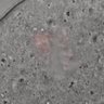 Thumbnail for dataset Figure6H_2016_4_12_1