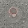 Thumbnail for dataset Figure6H_2016_5_11_1
