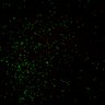 Thumbnail for dataset Figure7B_2013_5_8_L1_con1
