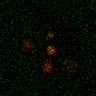 Thumbnail for dataset Figure7B_2013_5_8_L1_con15