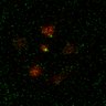 Thumbnail for dataset Figure7B_2013_5_8_L1_con16