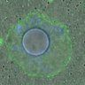 Thumbnail for dataset FigureS3A_misalign_20160408_C-Mad2_EFcon_GV