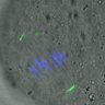 Thumbnail for FigureS3A_misalign_20160509_ACA_EFcon