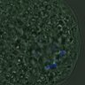 Thumbnail for dataset FigureS3A_misalign_20161031_kinetochore_CENPC_half1