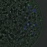 Thumbnail for dataset FigureS3A_misalign_20161031_kinetochore_Hec_con2