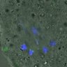 Thumbnail for FigureS4_20160222_con1_5h
