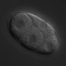 Thumbnail for dataset RNAi_R08D7.2_040812_02