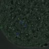 Thumbnail for FigureS4_kinetochore_CENPC_20161031_con2