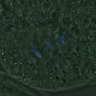 Thumbnail for dataset FigureS4_kinetochore_CENPC_20161104_Giant