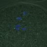 Thumbnail for dataset FigureS4_kinetochore_CENPC_20161106_EFcon