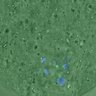 Thumbnail for FigureS4_kinetochore_CENPE_20170309_con